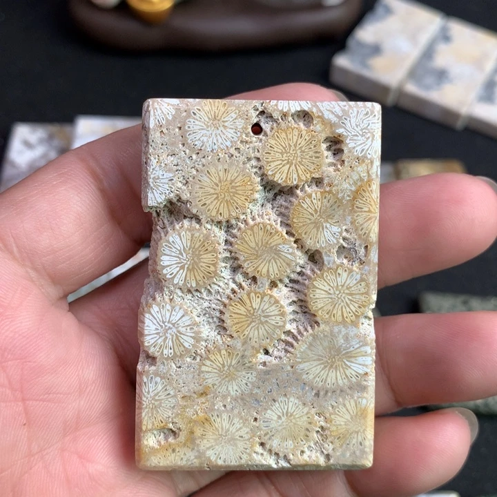 【闪购商品】硅化珊瑚（珊瑚玉）颈饰未镶嵌会**妖