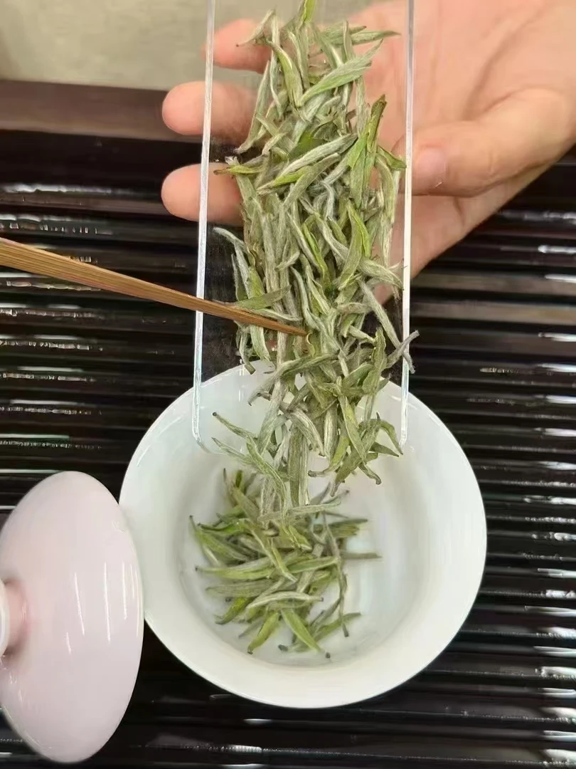 白毫银针福鼎白茶新茶散茶春茶季高山好茶2025年新茶