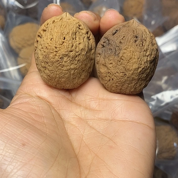 文玩核桃把件云南铁核桃54