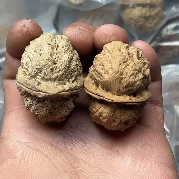 核桃4号柏泽44尺