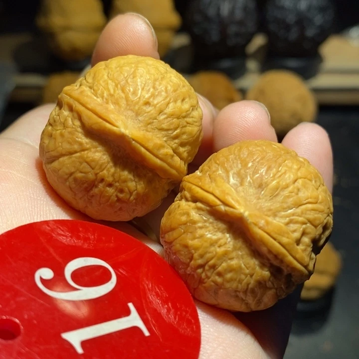 龙珠32尺寸核桃。