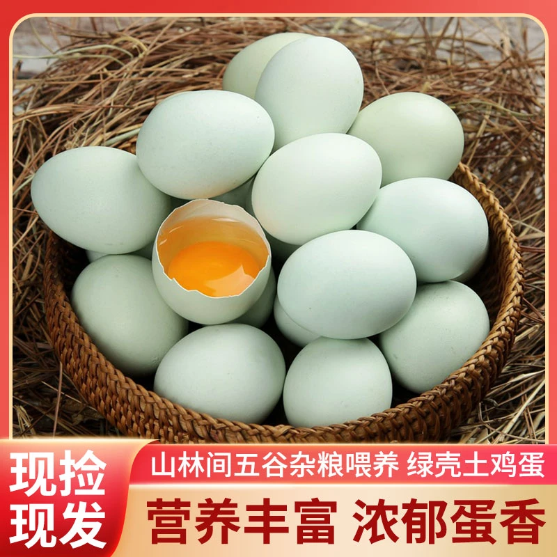 顺丰包邮纯粮林下散养五黑绿壳土鸡蛋套装