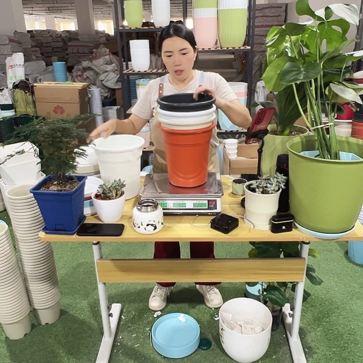 翻边盆口22高24混色无托4只