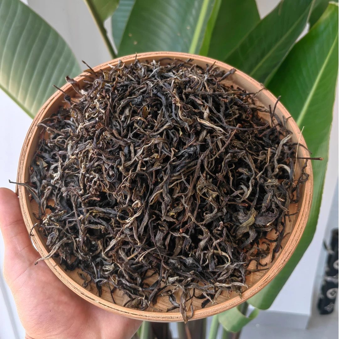 2024年滑竹梁子古树普洱生茶100克