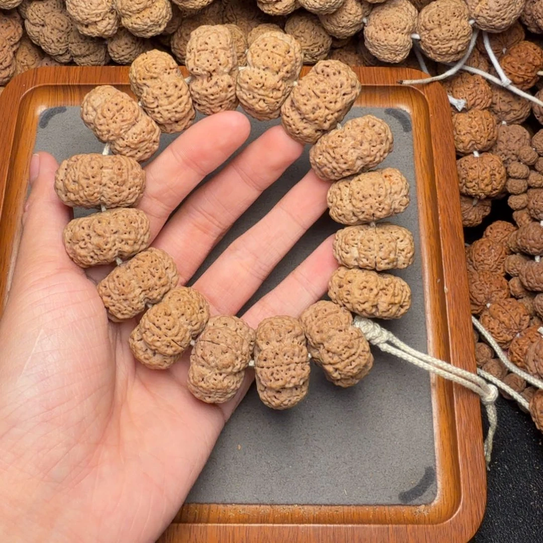 15号尼泊尔大金刚28五星蜂王夹板