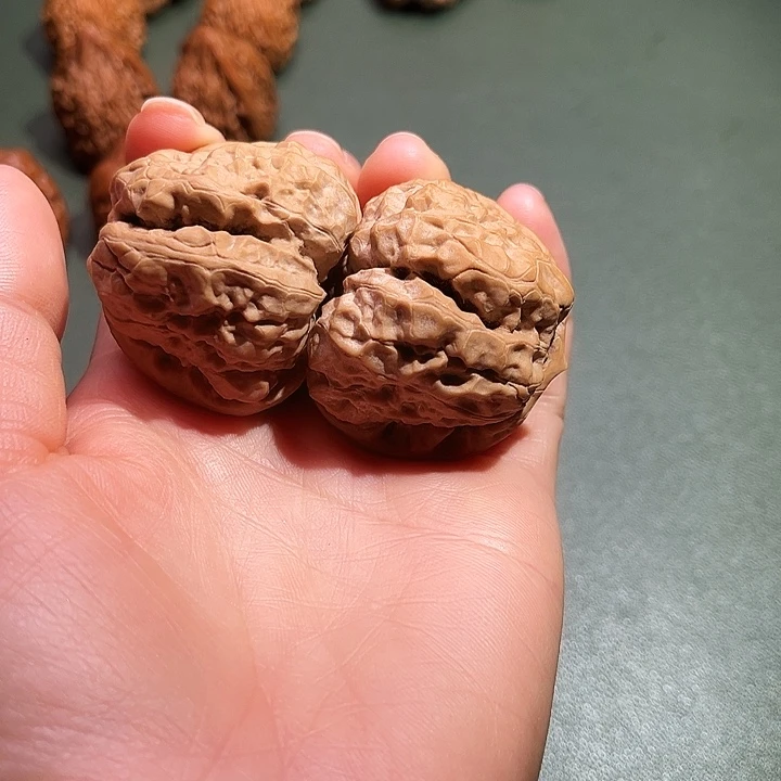 核桃涞水山地果蛤莫头42尺350号