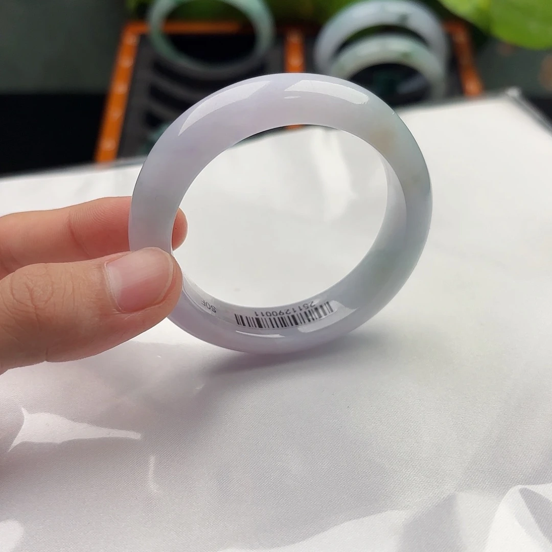 翡翠未镶嵌手镯x8 5253 95