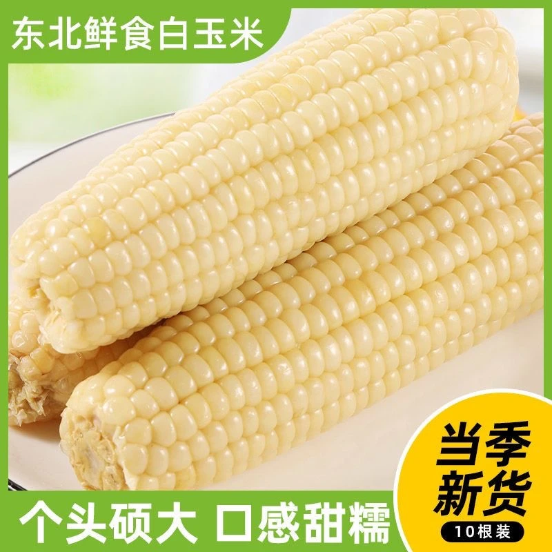 【带箱7.5斤】真空包装东北白糯玉米320g-350g*10棒