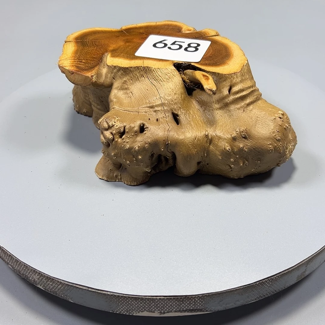 大果紫檀（缅甸花梨）～****～