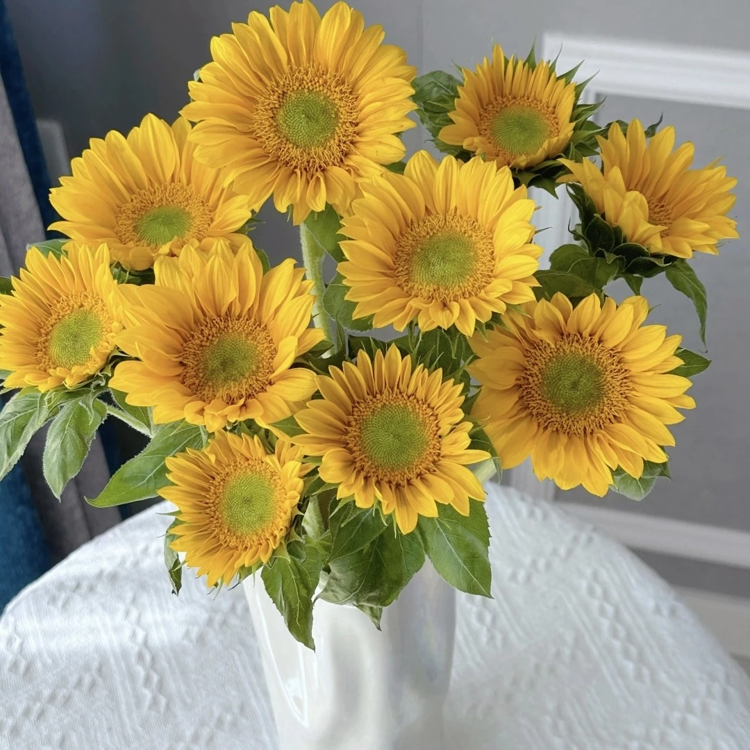 向日葵鲜花花束水养插花适合客厅装饰可送人