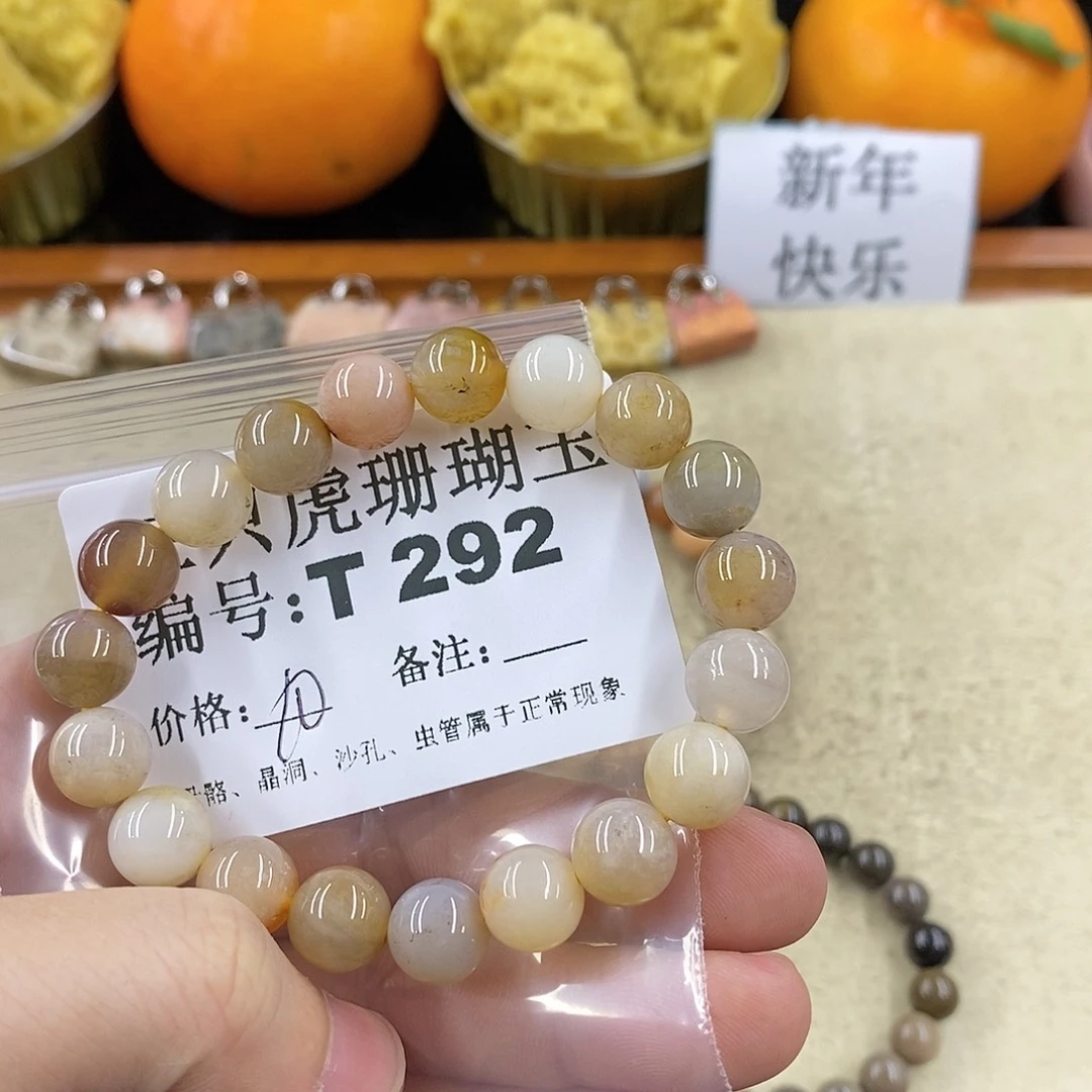 硅化珊瑚（珊瑚玉）1未镶嵌甲***〕