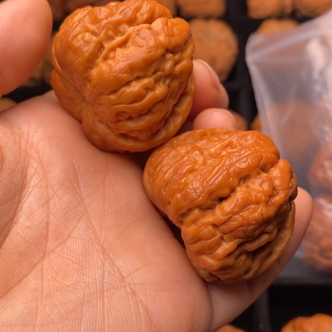 文玩核桃把件秦岭野生核桃