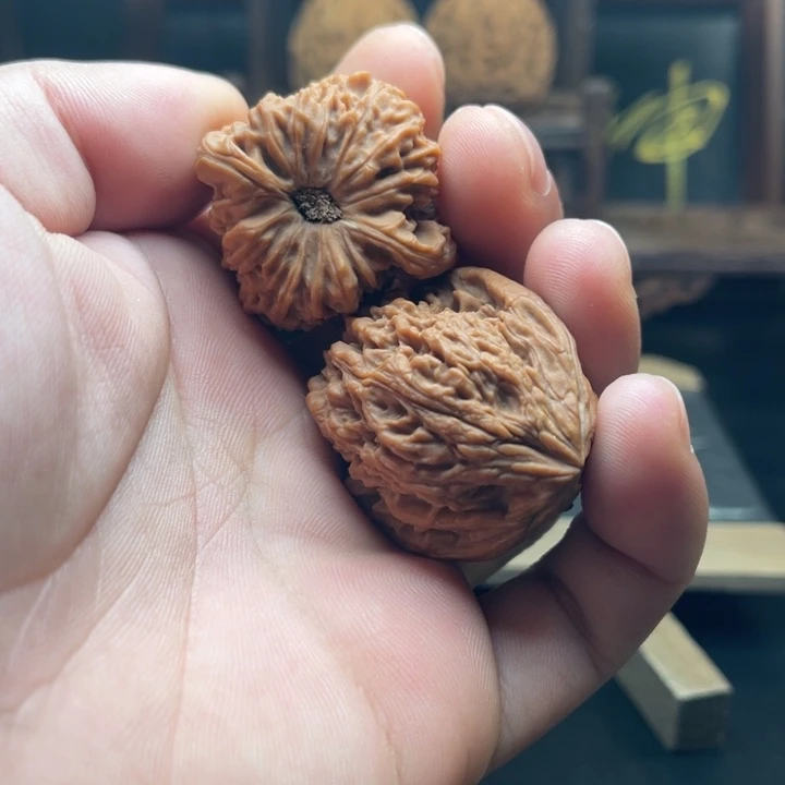 @***帅大叶紫檀（黑酸枝木类）