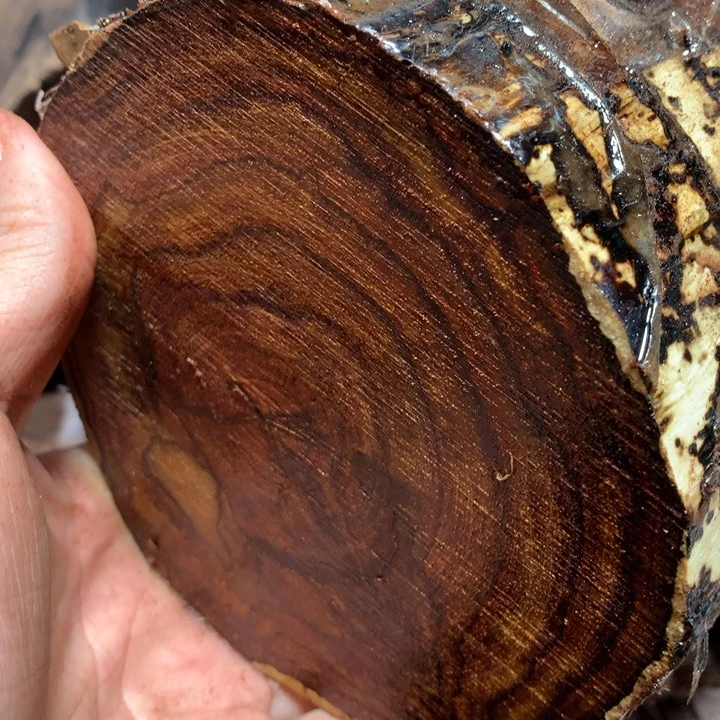 黄花梨/降香黄檀木*人