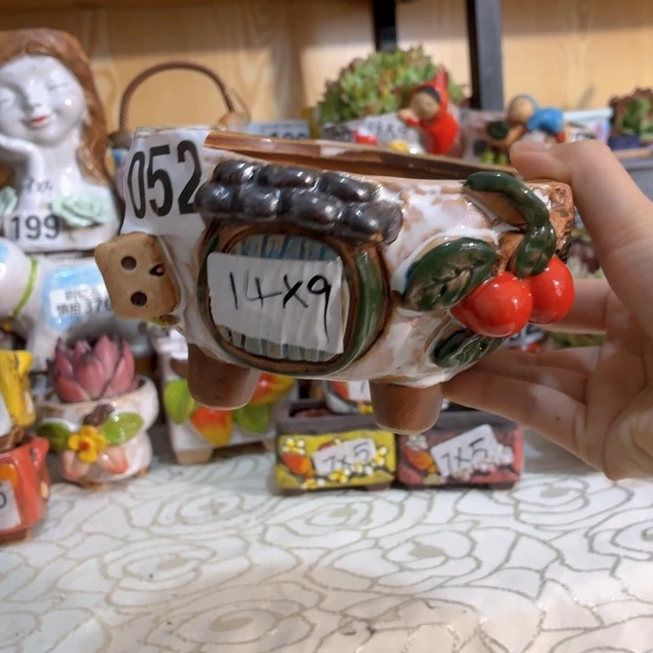 多肉花盆满15包邮