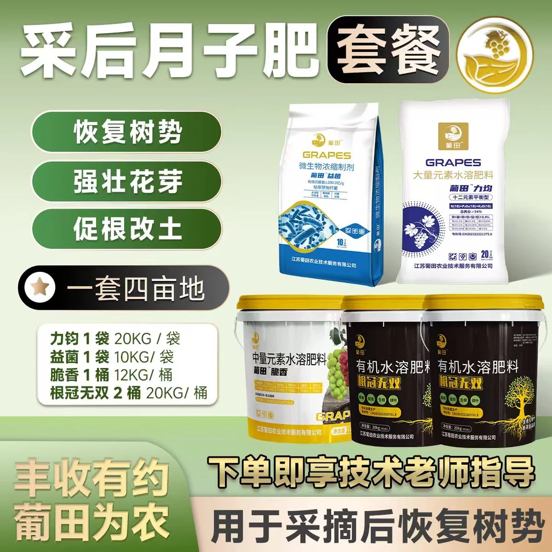 葡萄采果后（月子肥）恢复树势方案 一套四亩地