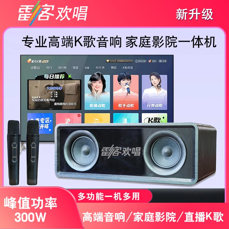 雷客欢唱19A家庭家庭ktvk歌套装家用唱歌家庭家庭ktvk歌音响