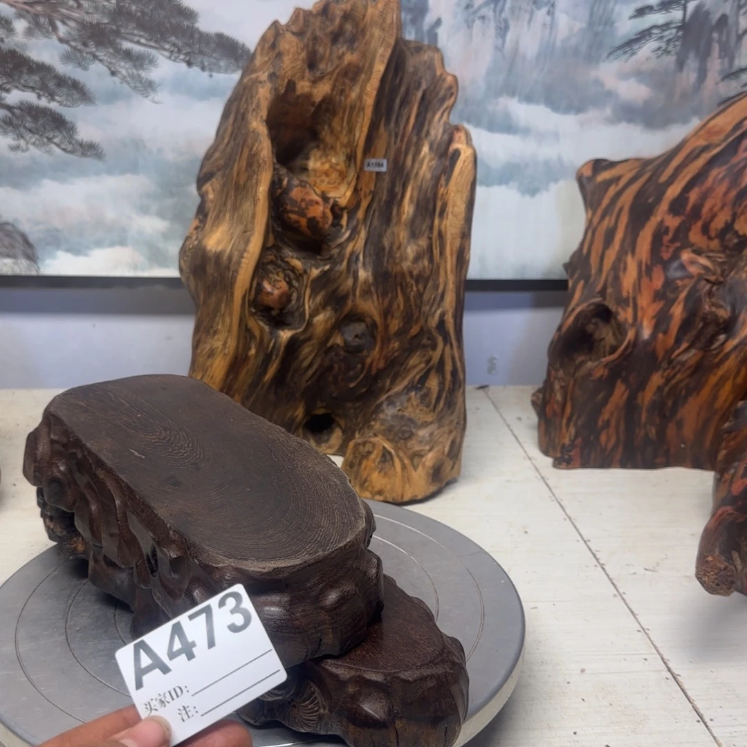 ᥫ***゛木哦哦哦哦哦哦哦哦哦40