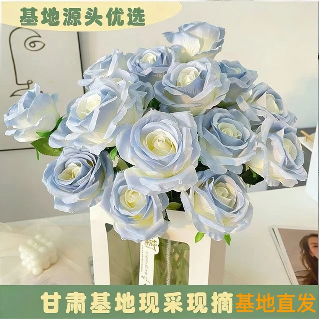 【10支/20支碎冰蓝玫瑰】收到需醒花 甘肃基地鲜切直发
