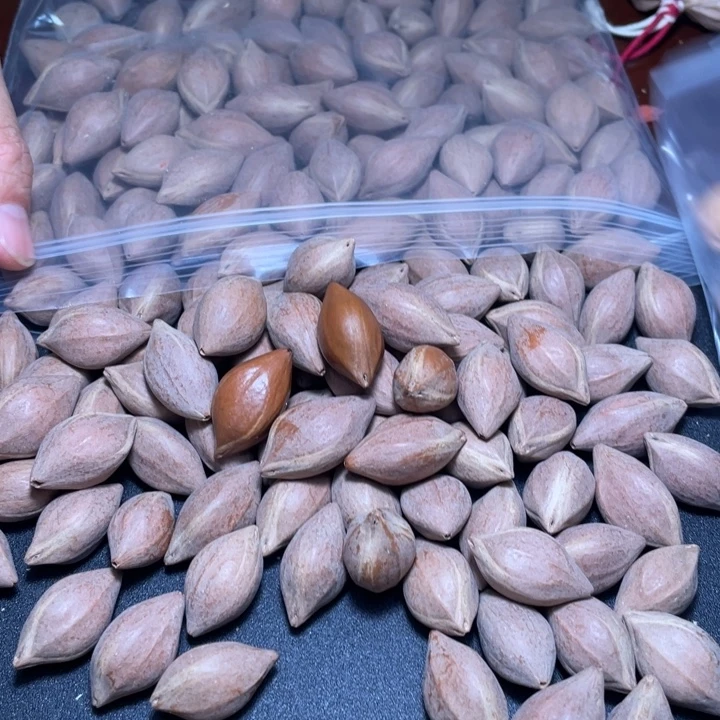 用***6吊坠橄榄核不退不换