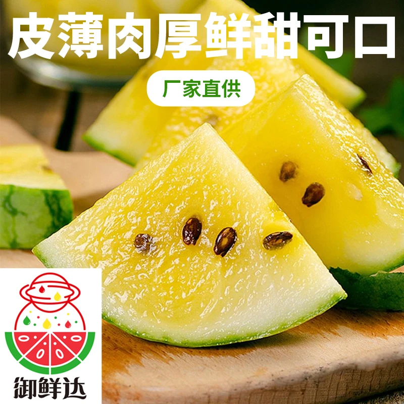 【福袋专用】东台小兰特小凤头茬瓜