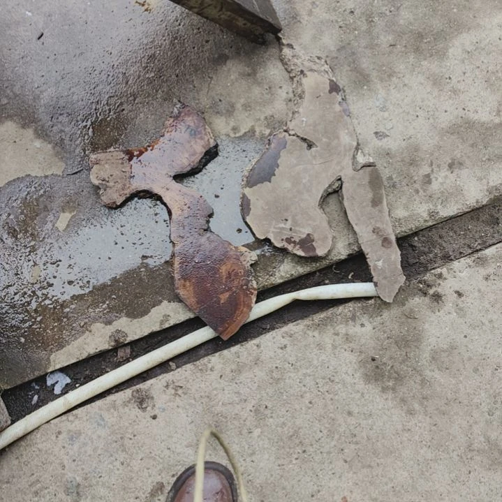 我***旅小叶桢楠金丝楠木