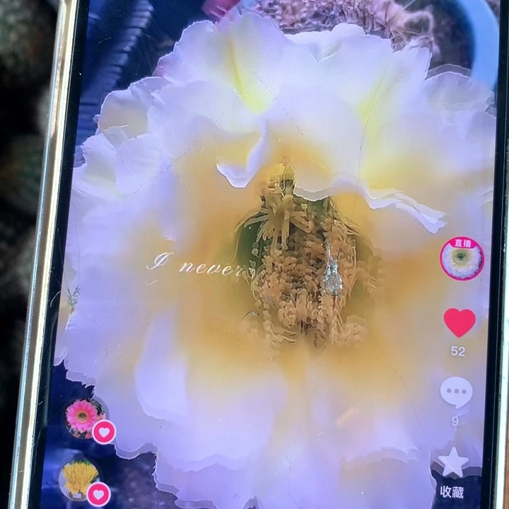 无花朵花样A-1侧呀 福利