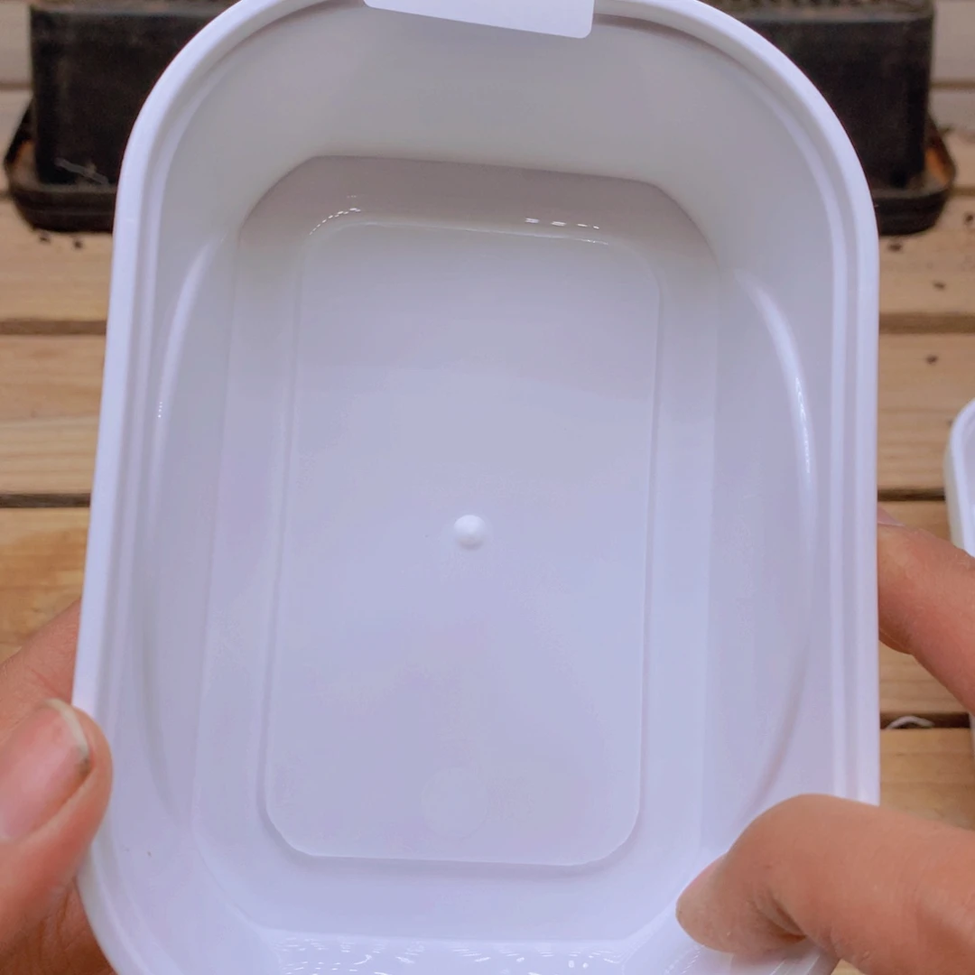 我***呢私人订制莱拉混色多肉032