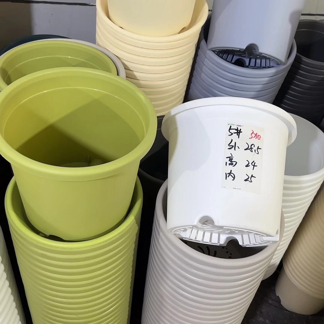 微瑕5号6个无托，果绿