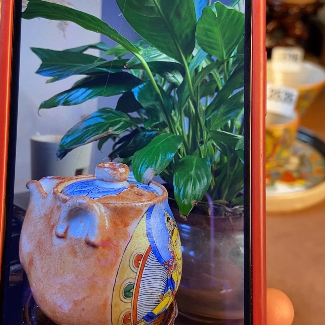 柠***儿定制宝瓶要耳朵画扎吉拉姆6