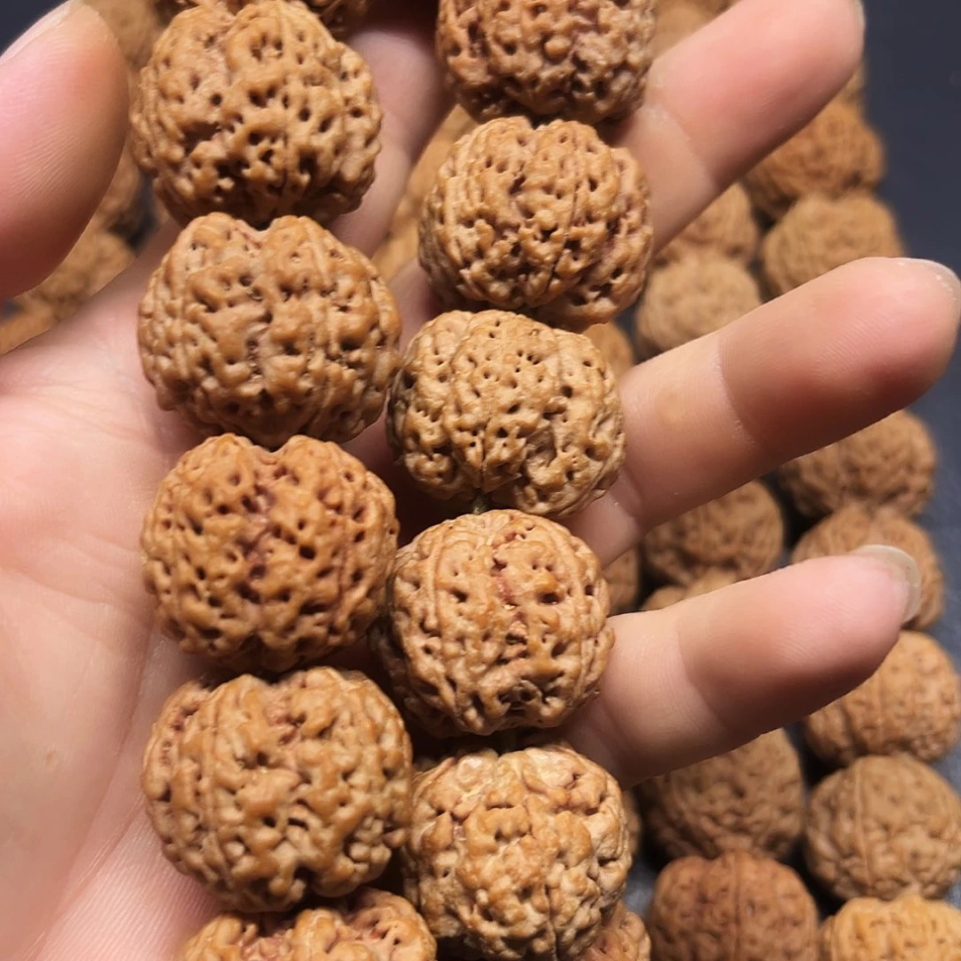 时****龙脊菩提吊坠双龙纹爆肉大金刚