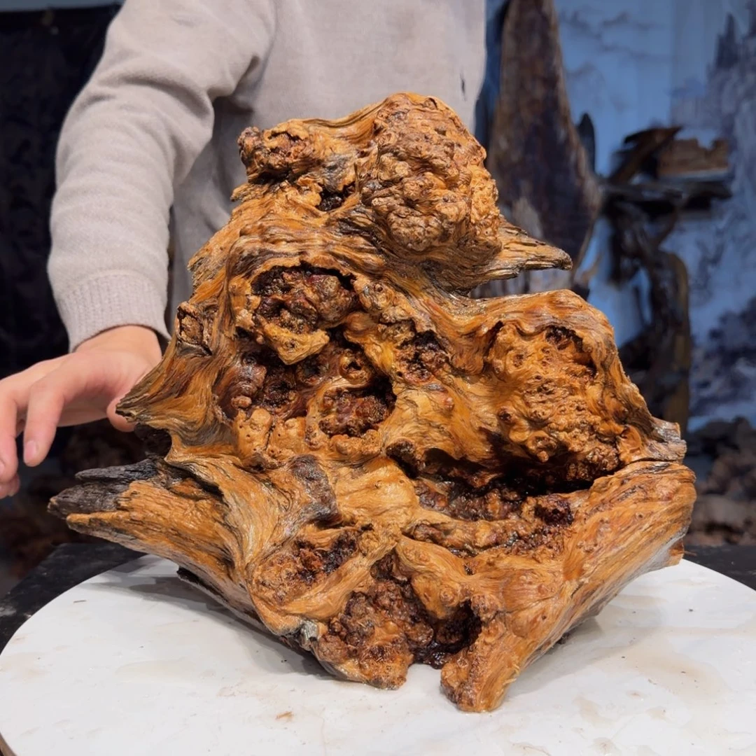 大***杨木三丰琥珀木 天然摆件50