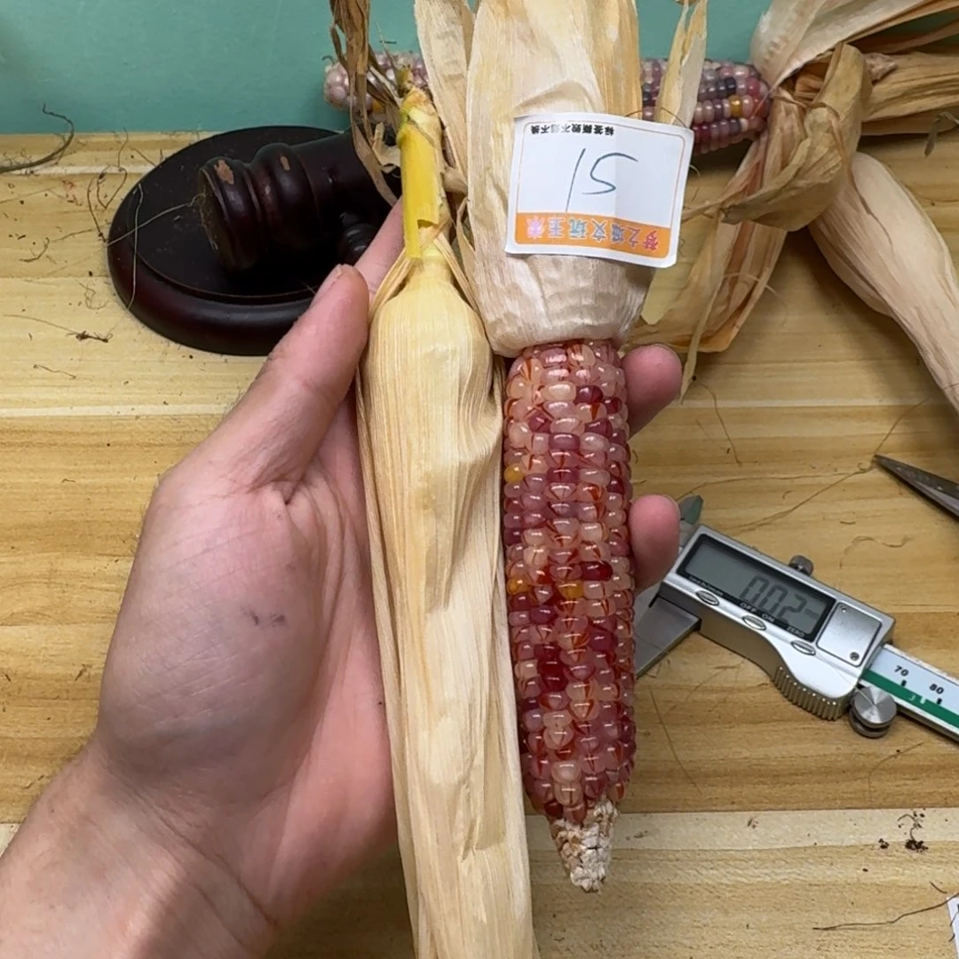 方***儿柏香籽/百香籽吊坠