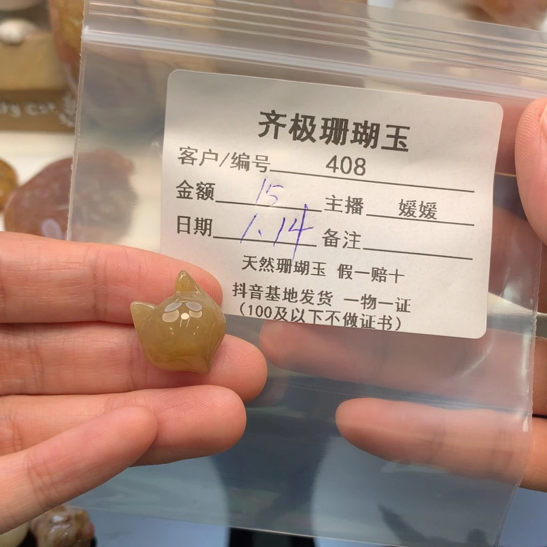 硅化珊瑚（珊瑚玉）颈饰未镶嵌小*.