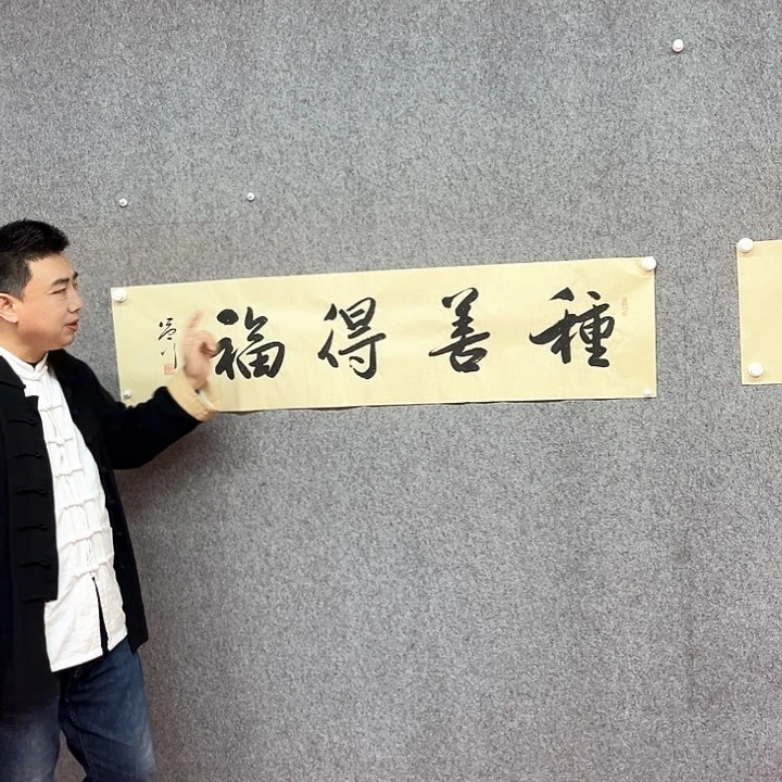 书法种善书法作品