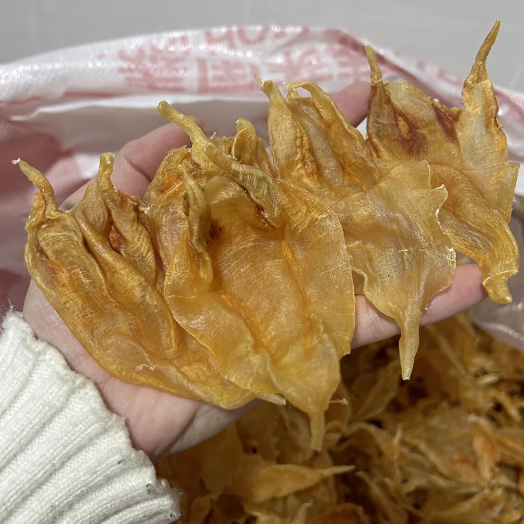 陈年老胶，野生老北海公胶