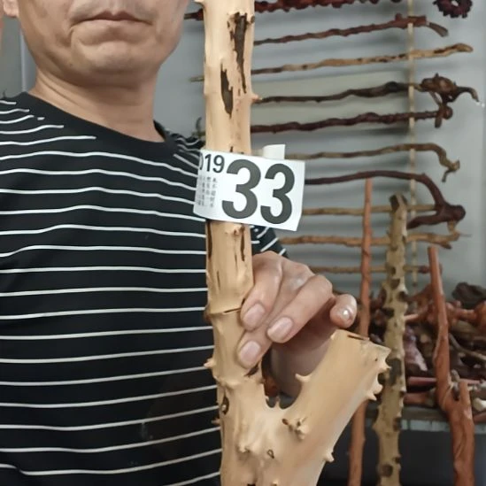 吉***李香榧木高山 檬子木文玩料