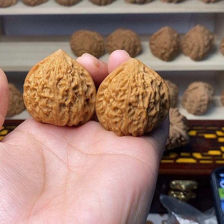 n***939尺金牛密纹骨质硬