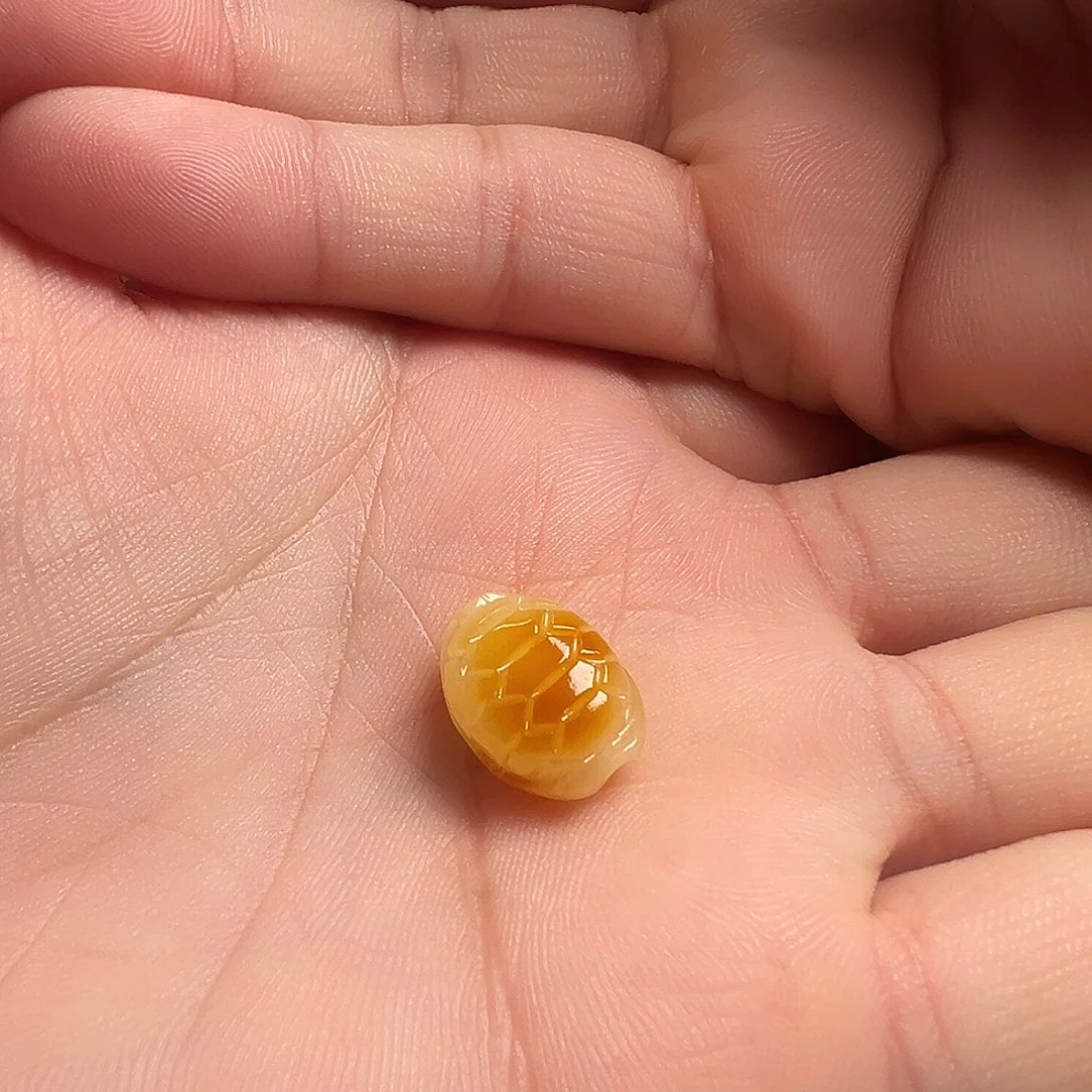 蜜蜡颈饰未镶嵌富甲天下提溜吊坠