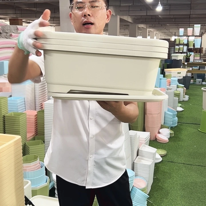 小菜盆长38宽28高14米色3只带托