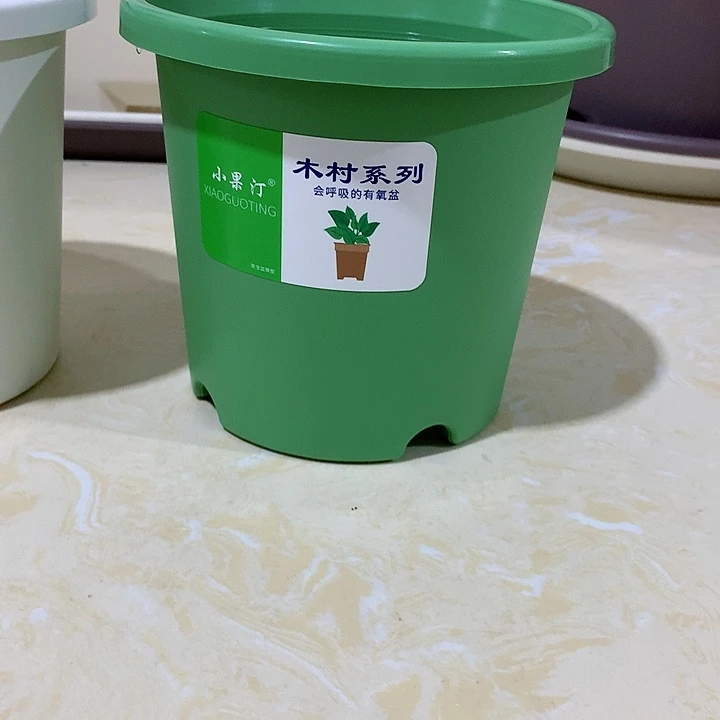 四季口15绿10个无托