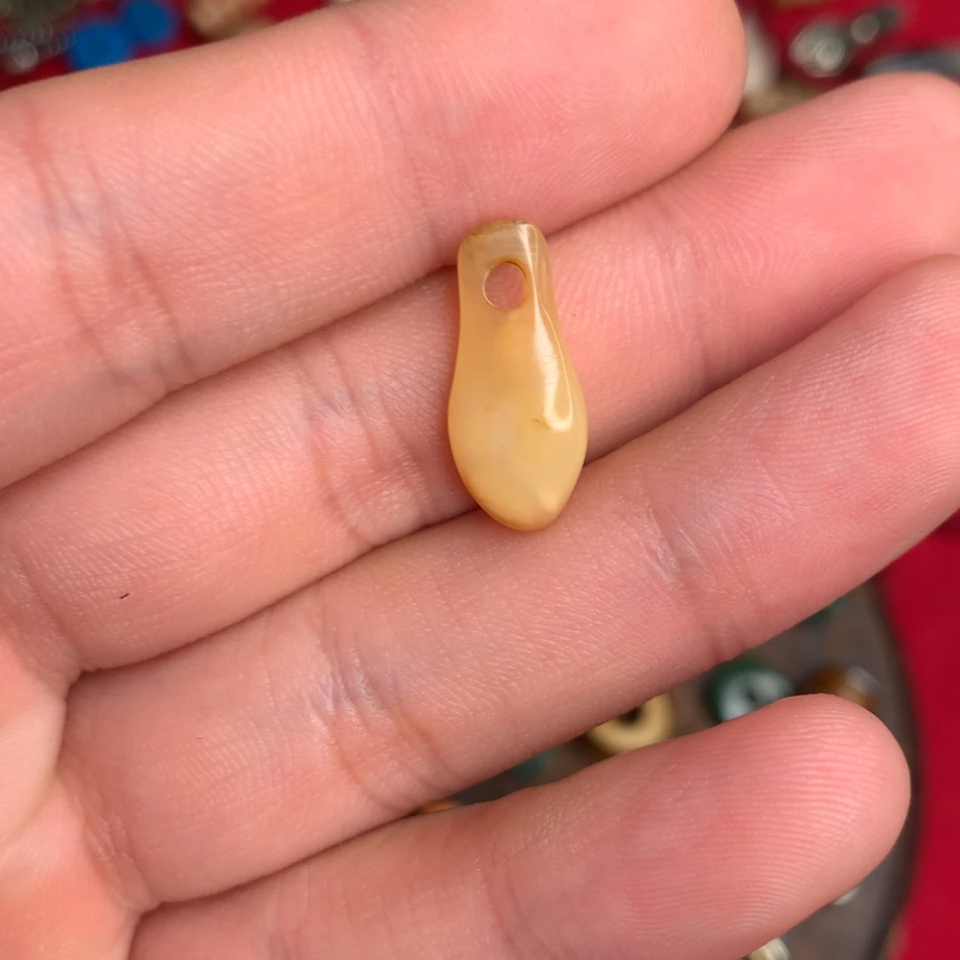 M***S贝壳手串/手链哈哈哈哈哈哈哈哈