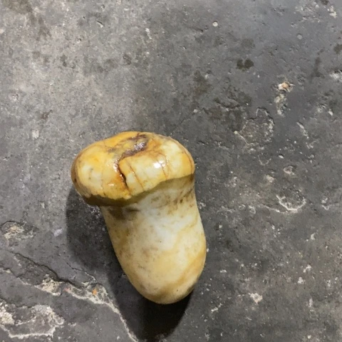 未镶嵌和田玉（糖玉）挂件