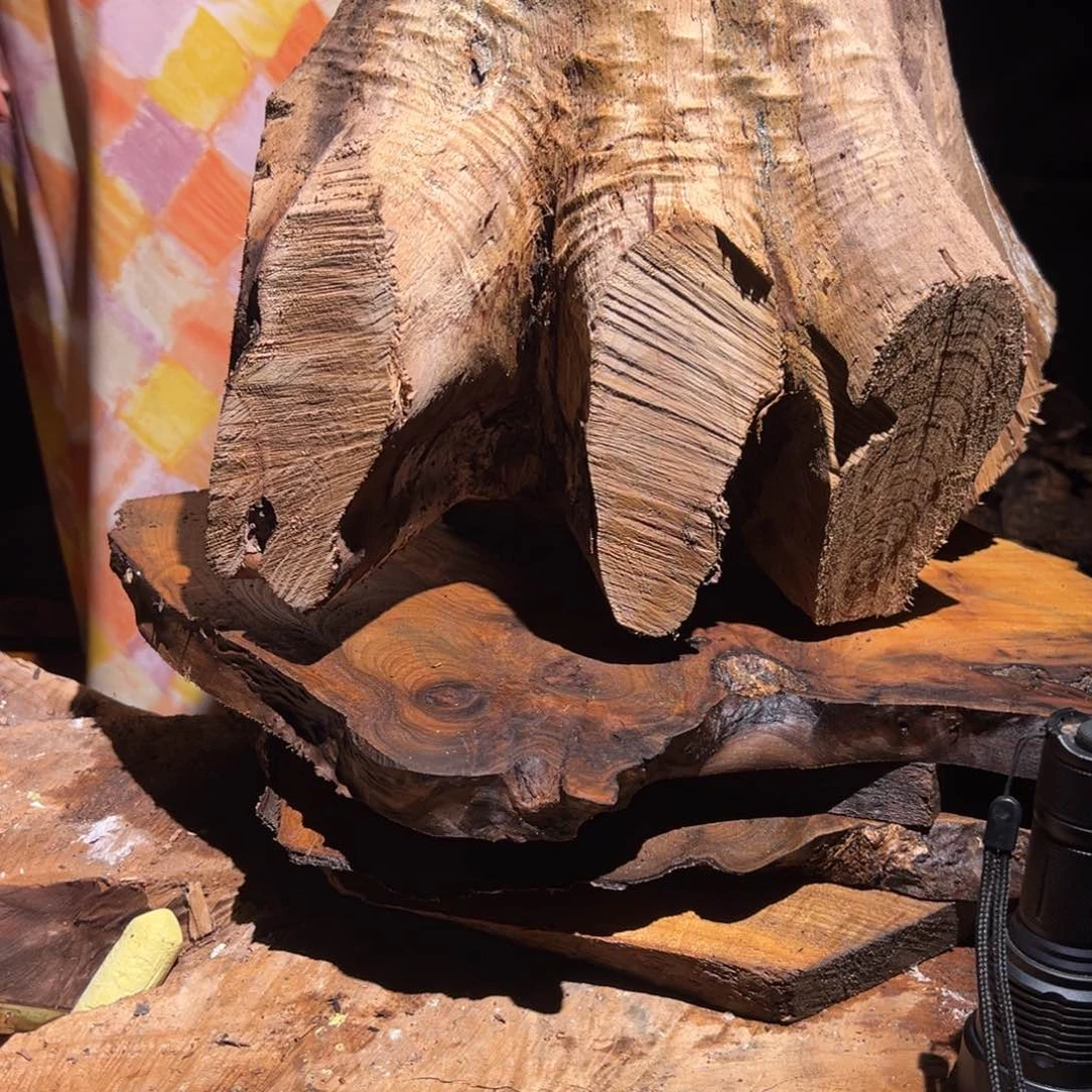 金丝楠禾*344344444