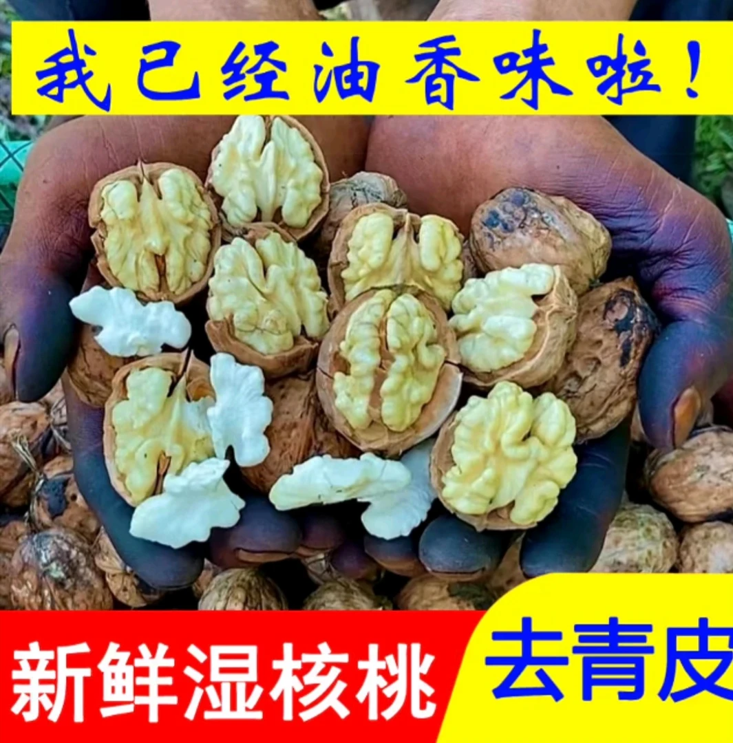 鲜核桃2025年老树新鲜核桃新鲜湿核桃生核桃