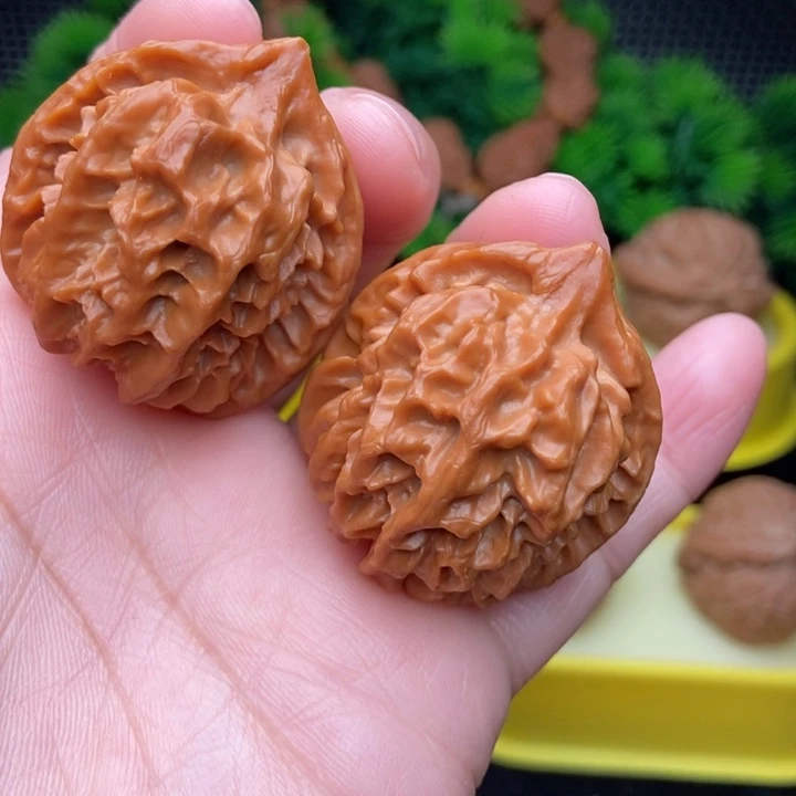 大龙36/38精修11111
