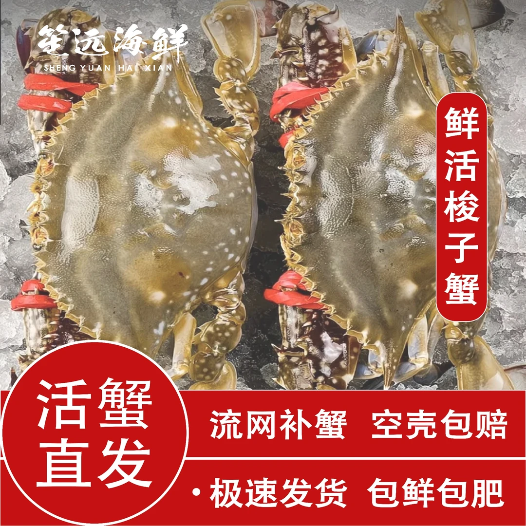 【保鲜不保活】野生梭子蟹白蟹公蟹母蟹海鲜 3-5两/只2斤装充氧
