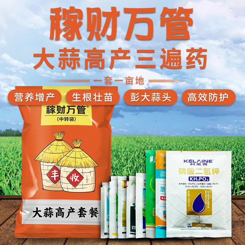 稼财万管大蒜三遍肥增产套餐干尖黄叶根腐锈病膨大蒜头高效套餐