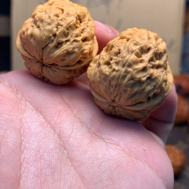 文玩核桃把件憨*妞高端