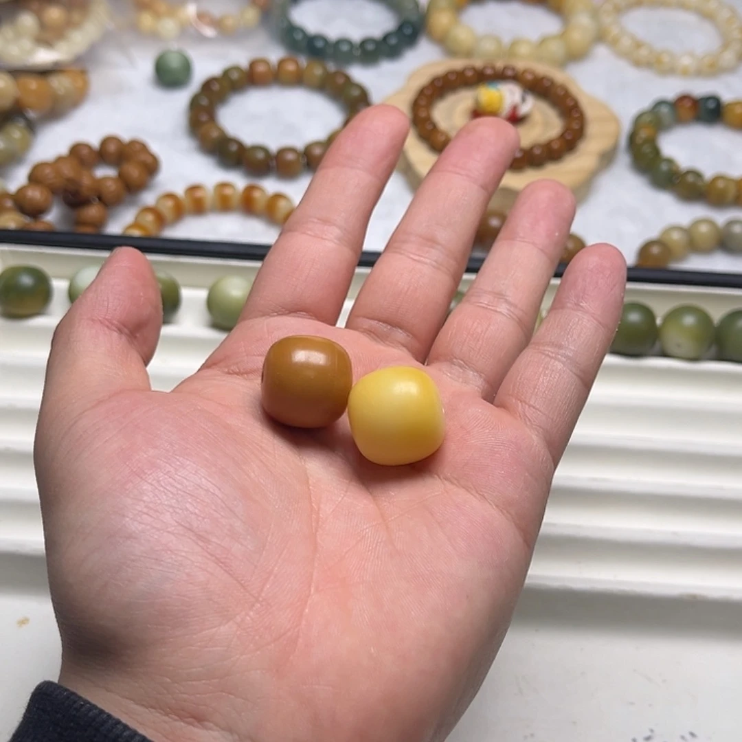 菩提根/象牙果吊坠X***X轩